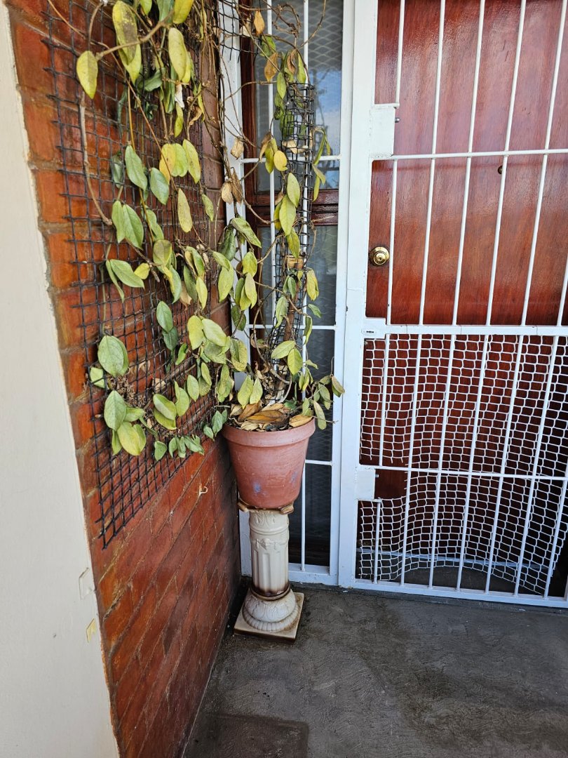 2 Bedroom Property for Sale in Navalsig Free State